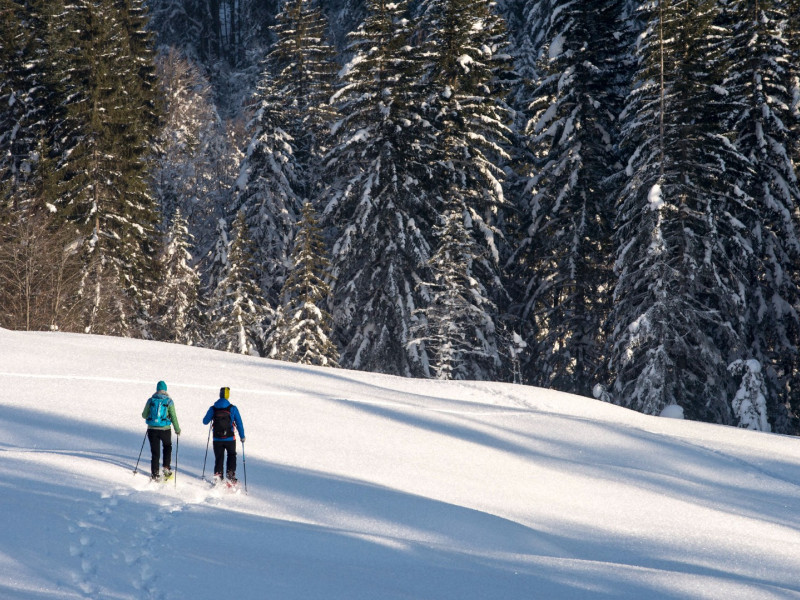 Winterlandschaft