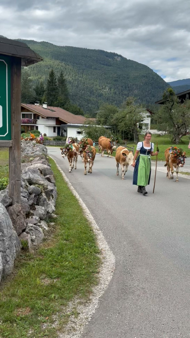 🐄🌸 Almabtrieb in Au bei Lofer 🏔️❤️ Der Almabtrieb...